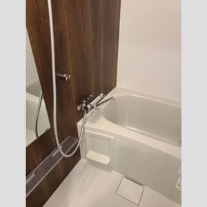 ＫＤＸレジデンス池袋ウエストの浴室