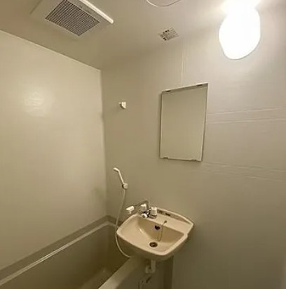 メゾン天月の洗面所