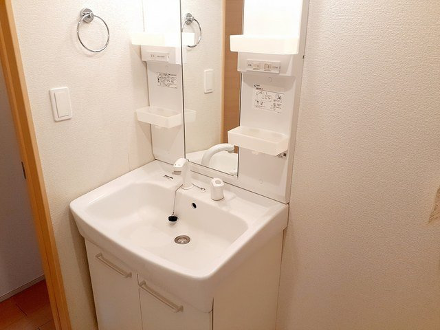 ル　ラフィーネの洗面所