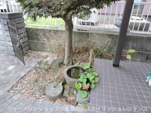 星和台２丁目の庭