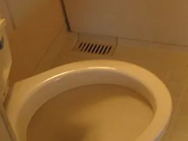 めぞんエルのトイレ