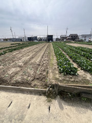 土地　旦島2丁目の外観|北側から