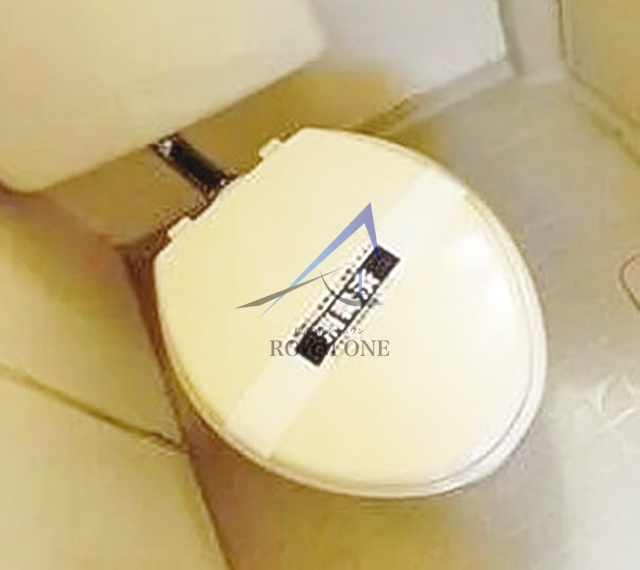 ユースフル大塚のトイレ|トイレです。