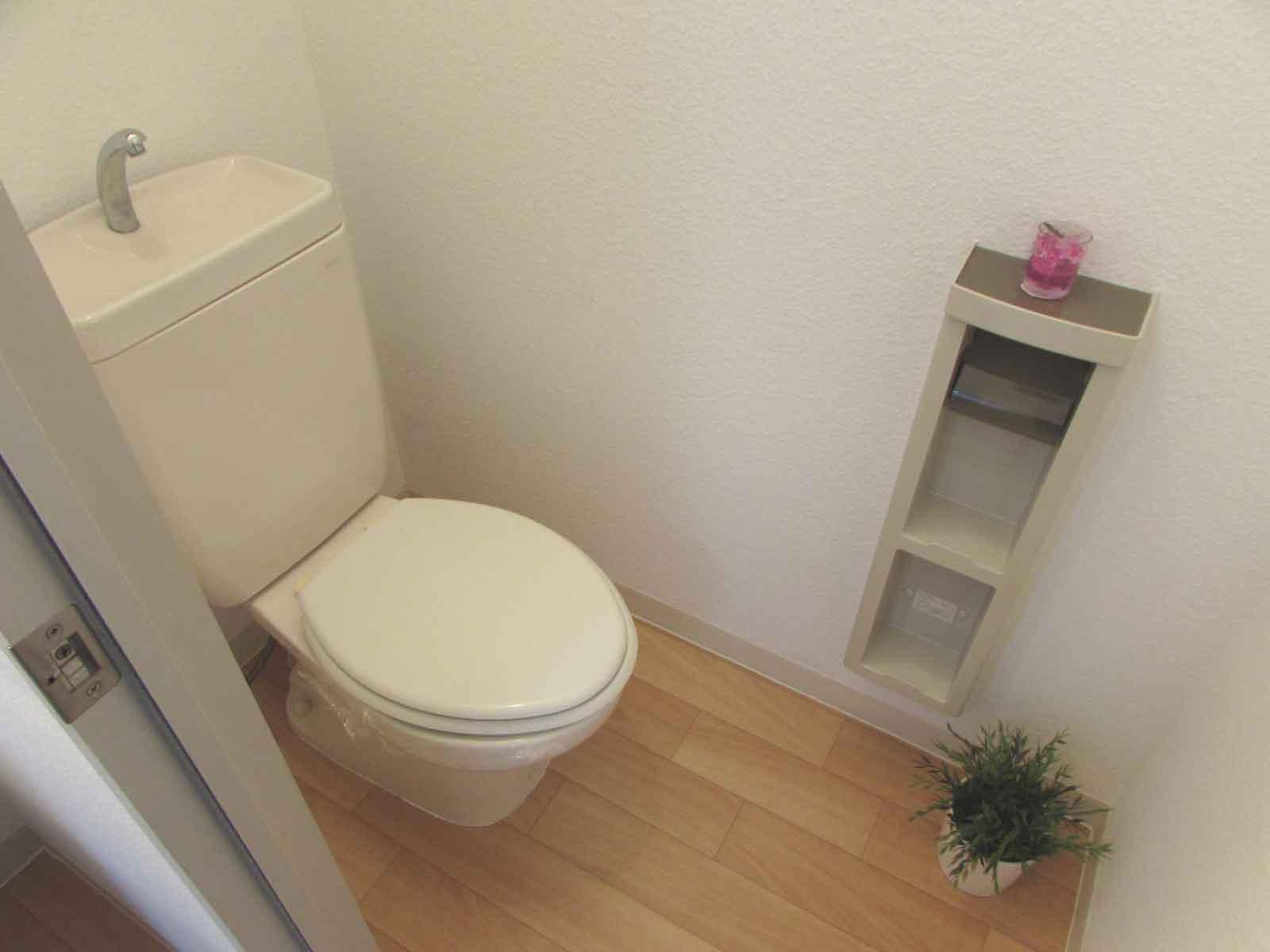 グランデソーニョB棟のトイレ