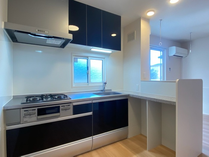 アグレッサーⅡのキッチン|システムキッチン