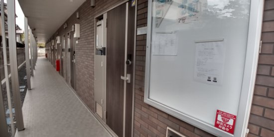 ミランダ高江Ｋのその他