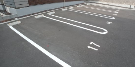 ミランダ高江Ｋのその他