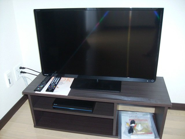 レオネクストはなみずきのその他