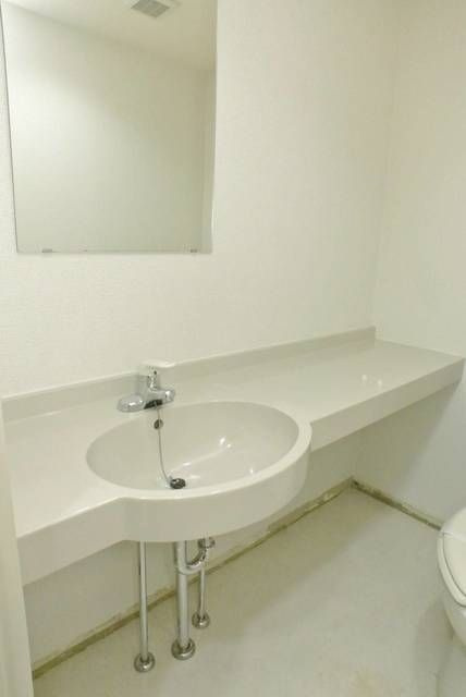 メゾン・ド・ヴィレ駒形の洗面所