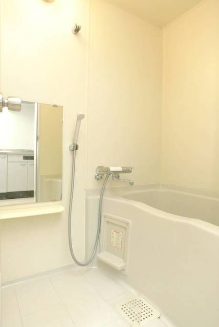 メゾン・ド・ヴィレ駒形の浴室