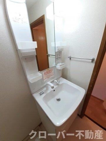 サニーハイム江尻の洗面所