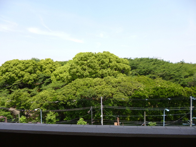 ヒルズ飛鳥山の展望|春には桜が観られます♪