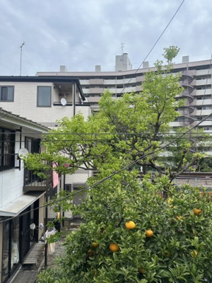【展望】 | ハイツあすか