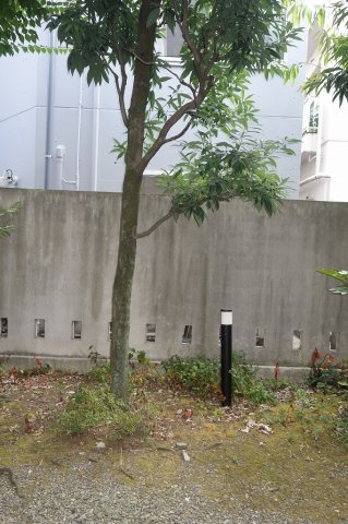 コンフォート文京小石川の展望