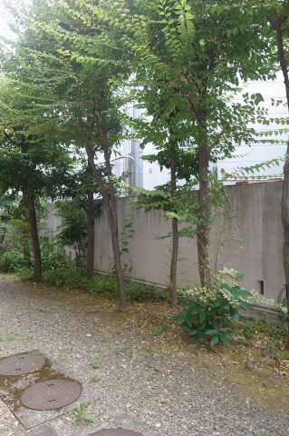 コンフォート文京小石川の展望