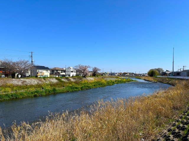 【周辺】 | □■平塚市南金目 売地■□ | 海、山、川、自然豊かな『平塚市』