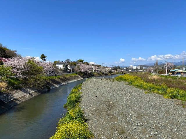 【周辺】 | □■平塚市南金目 売地■□ | 近くには金目川が流れ春には菜の花、桜越しの富士山を遠望する事ができる穏やかな住環境です！