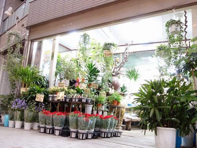 ソフィアシュガー(家具付き☆)の周辺|お花屋さん