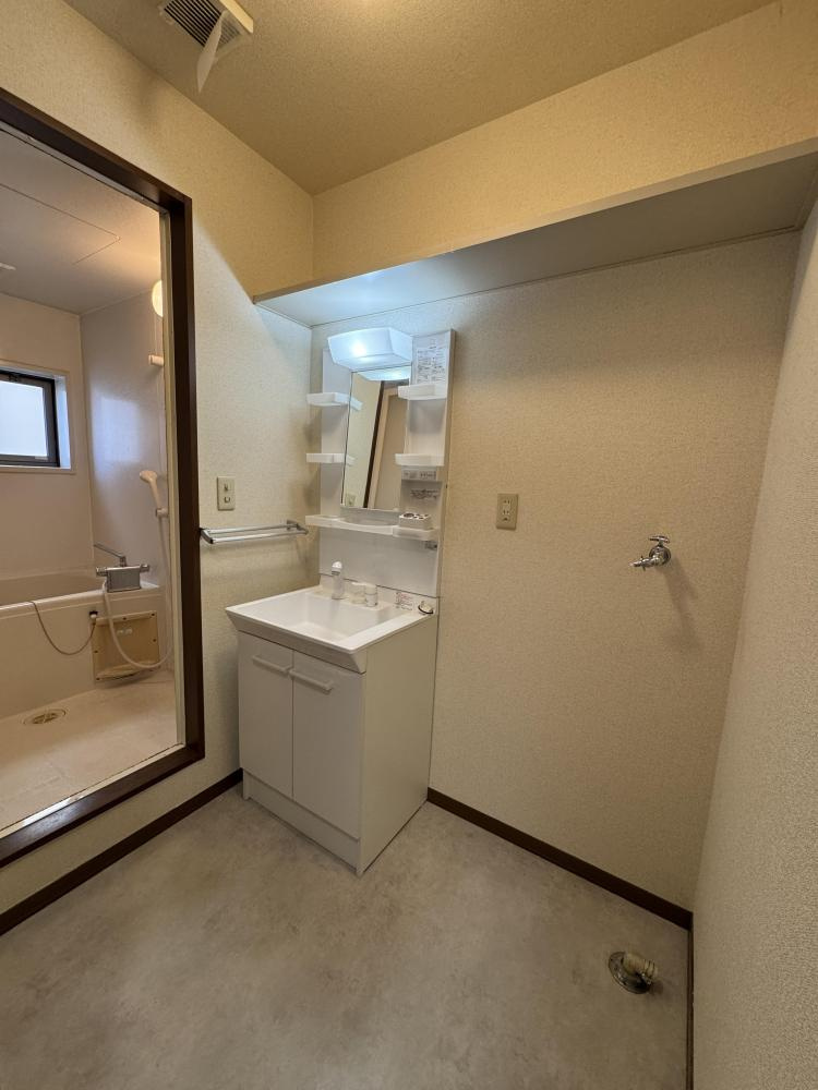 リバーストーンⅡの洗面所