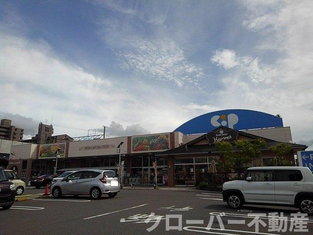ローフィルドの周辺|コープ宇多津店まで600m