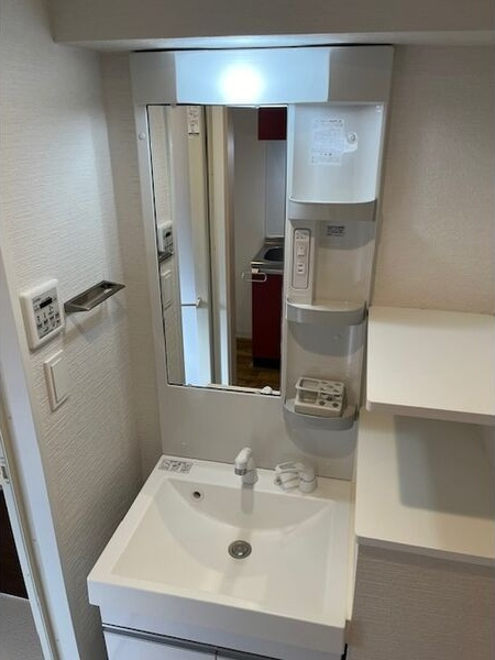 Casa Avenue Ikeshitaの洗面所