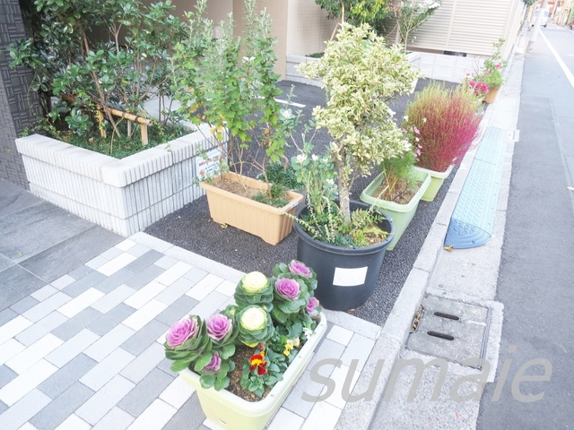 ミュール　ソレアードのその他|植栽です☆