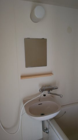 メゾン池上の洗面所