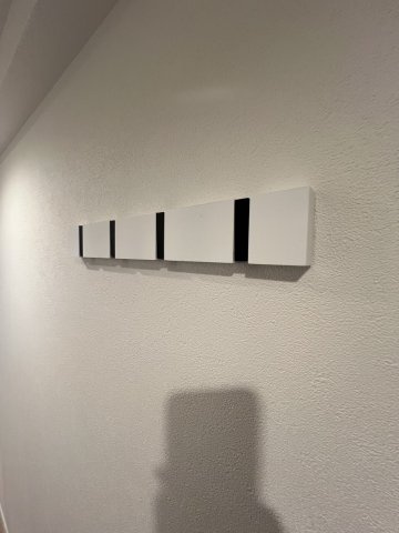 メゾン新高円寺のその他