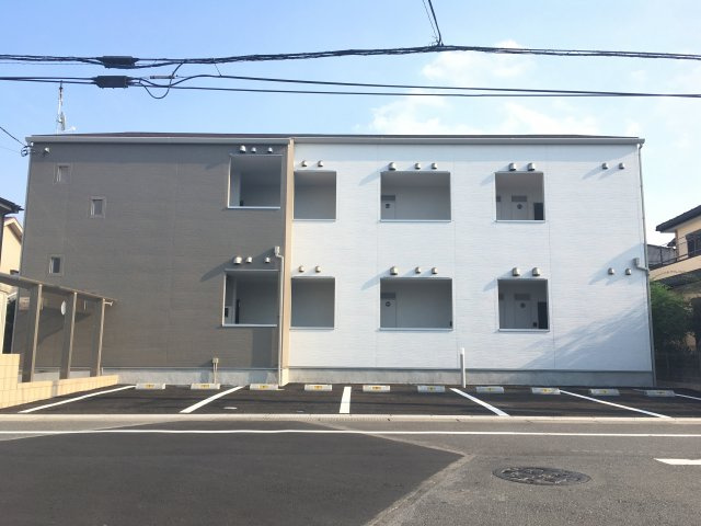 ゼラニウムの外観