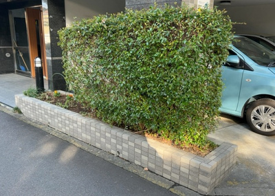 【庭】 | センチュリーめじろ台 | 物件によっては、入居者が個人的に使用できる専用庭がついているものもあります。また、住宅の中にある土間の部分を庭と呼ぶこともあります。庭の用途は住む人によって変わり、それによってデザインもさまざまです。