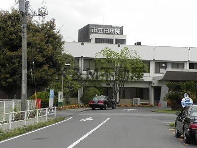 ブリーズ・ベルの周辺|市立柏病院まで520m 