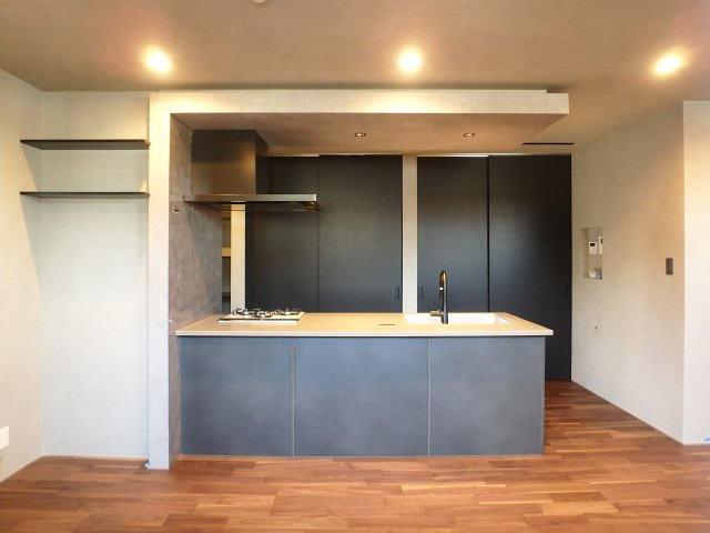 大森町新築戸建のキッチン|お洒落な折下げ天井のオープンキッチンです。お洒落なハンドシャワー水栓、両面焼きグリル付きのハイパーガラスコートのガスコンロが備わったシステムキッチンです。もちろん食器洗浄乾燥機も付いています。