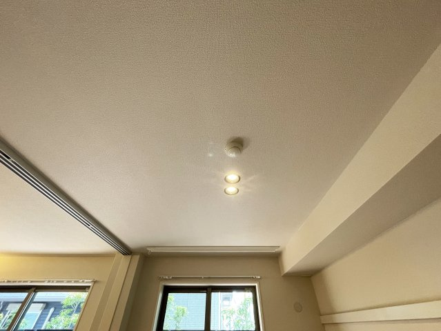 Bel Lapisのその他