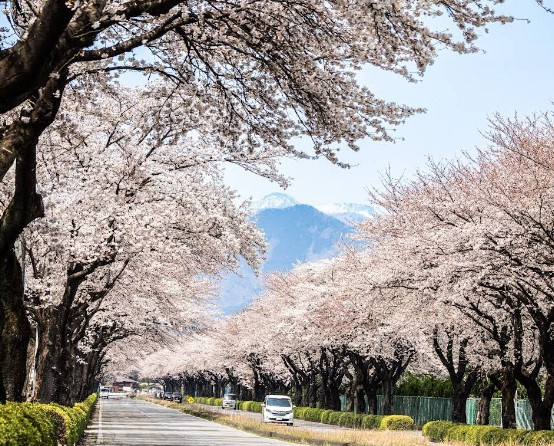 那須塩原市三区町　土地の周辺