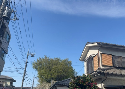 【展望】 | 共立リライアンス上野町 | 桜や紅葉の名所に出かける人は多いと思いますが、家にいながら季節の移ろいを感じる生活を送りませんか？リビングや窓から見える景色が生活を彩るワンポイントに！現地から見える景色を堪能してみては如何でしょう。