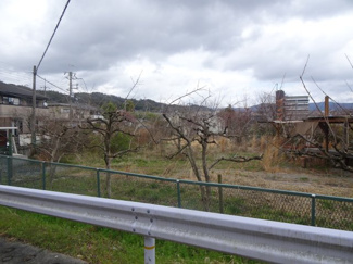 【外観】 | 川西市山原１丁目11の11