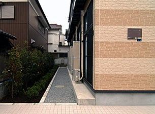 若葉の展望
