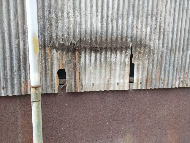 【その他】