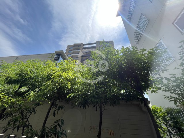 ハイツ天王寺1号館　五条小学校の展望|ハイツ天王寺1号館　展望