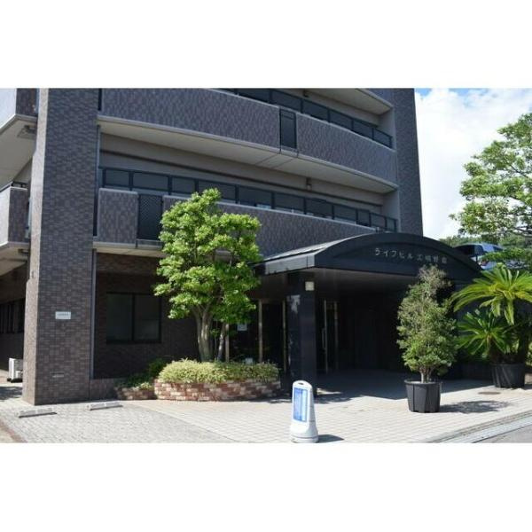 ライフヒルズ明野南の玄関|エントランスは日差しが差し込み明るい雰囲気が感じられます。緑豊かな植栽がアクセントになっています。建物の外観は落ち着いた色調で統一されています。エントランスはゆったりとした造りです。