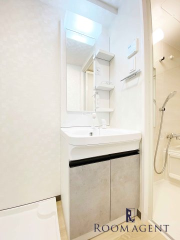 S-RESIDENCE金山Westの洗面所