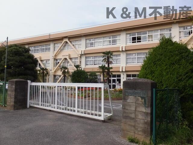 グランシャリオ双伸の周辺|柏市立柏第七小学校まで828m 
