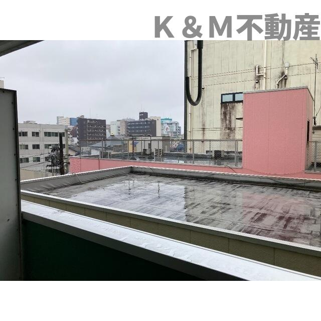 セントラルグリーンマンションの展望| 