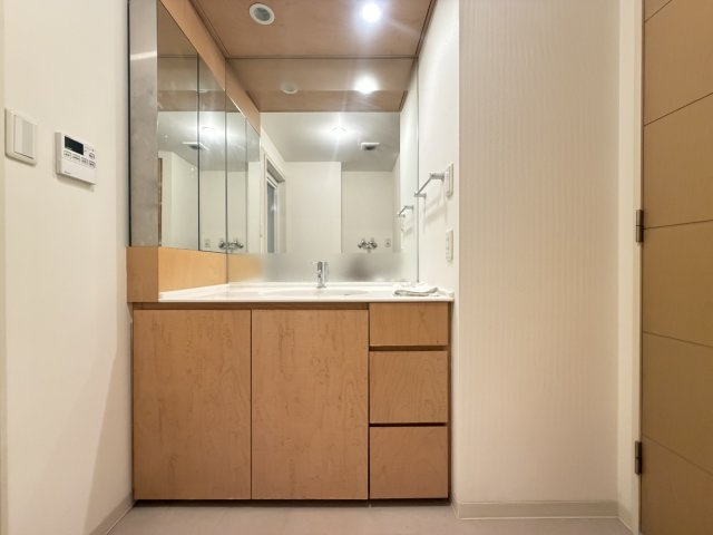 ヴェーゼント芝の杜ヒルトップの独立洗面台