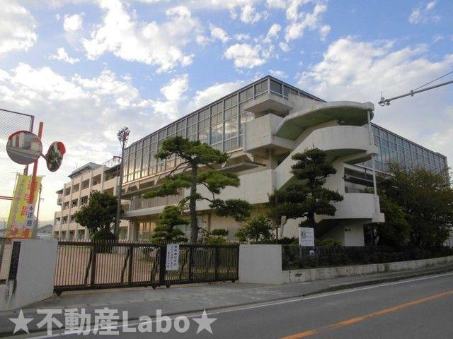 カーサフォレスタのその他