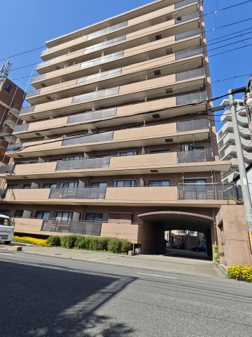 ロビン・ソングの画像