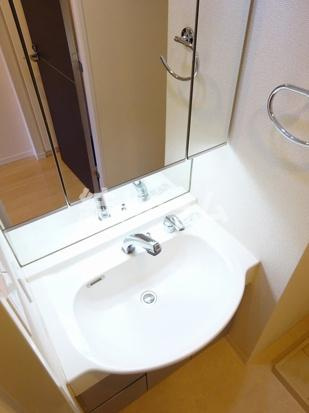 板橋区東坂下２丁目の賃貸マンションの洗面所