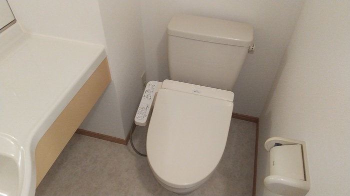 セジュールレーヌ101のトイレ