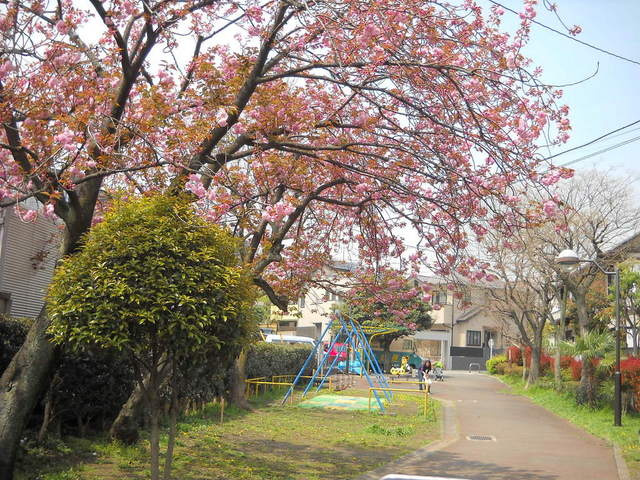 Ｓａｎｎｏ Ｉｔｏ Ｍａｉｓｏｎのその他|鹿島公園