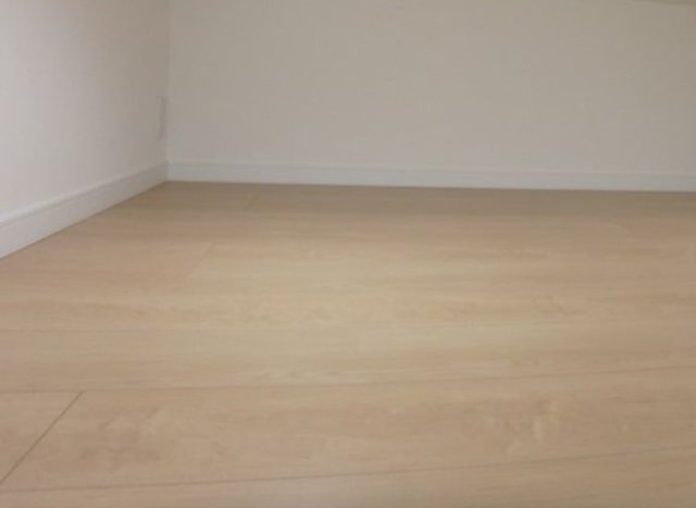 フェリスプリンスのその他